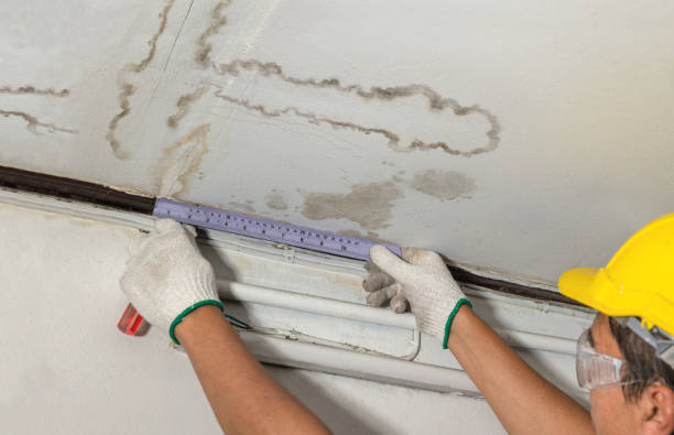 Reliable Water Damage contractor in Palmyra, MI by Water Damage Irwin